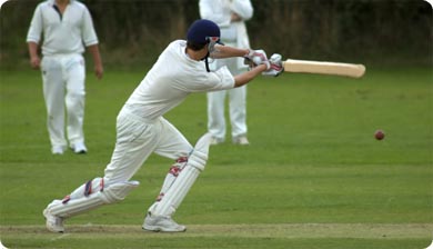 Cricket